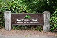 NW Trek